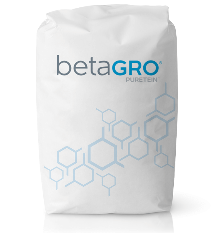 betagro-bag-v2