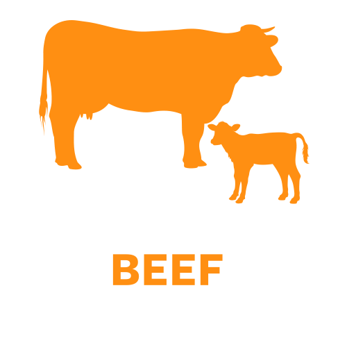 species-beef